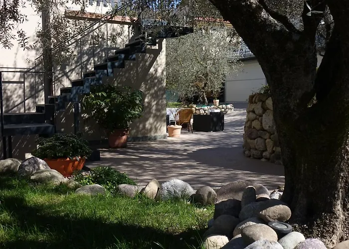 B&B Forsesiforseno